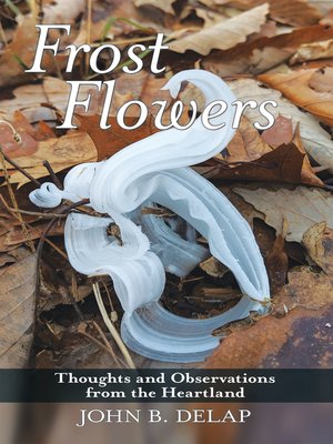 cover image of Frost Flowers